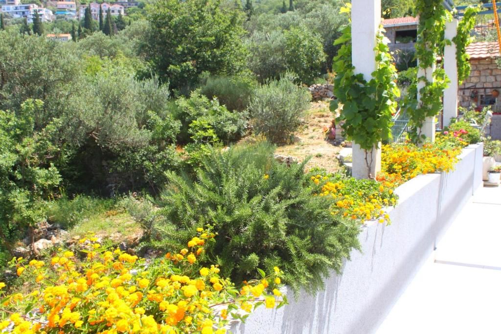 Апартаменты Blue Mediterranean Apartments Свети-Стефан-55